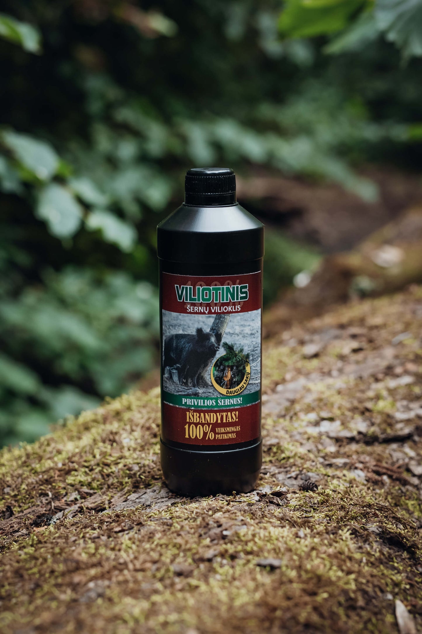 Hunting attractant for wildboars